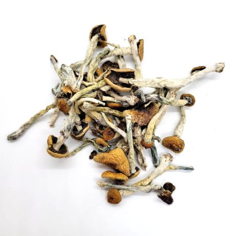 Cambodiandriedmushrooms