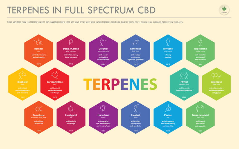 Image graphic detailing Terpenes in Full Spectrum CBD